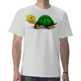 CAMISETA PERSONALIZADA